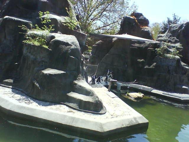 DSC00003