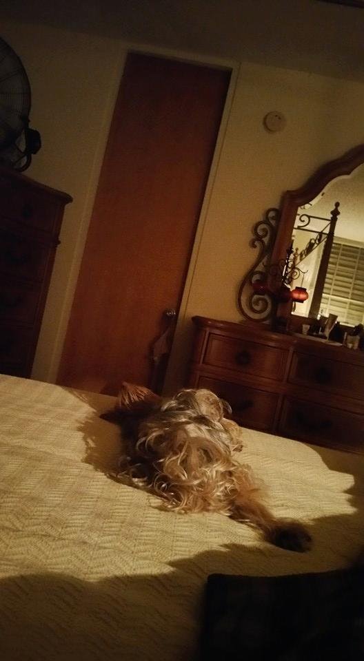 Teddy knows the meaning of vacation