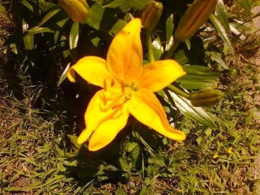 ben harris' album, Timeline Photos