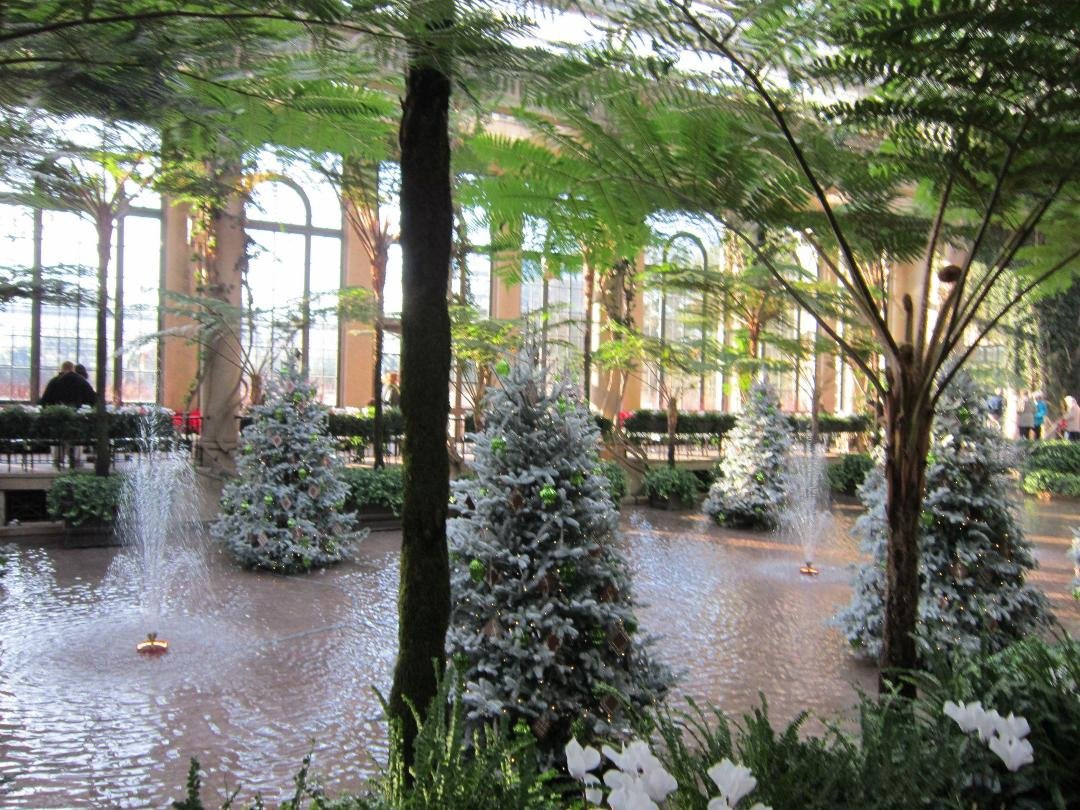 Kathleen Cunningham's album, December 17, 2011