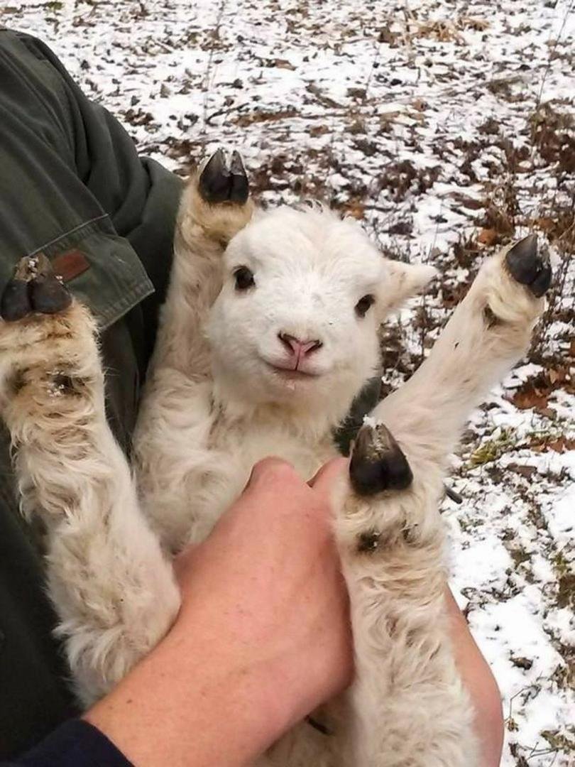 Sometimes you should just throw your arms, and feet, in the air, like you just don't care!