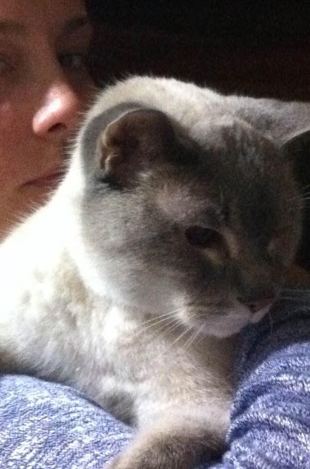 Happy 18th Birthday Caspurr! Best kitty ever!🎉🎈💕