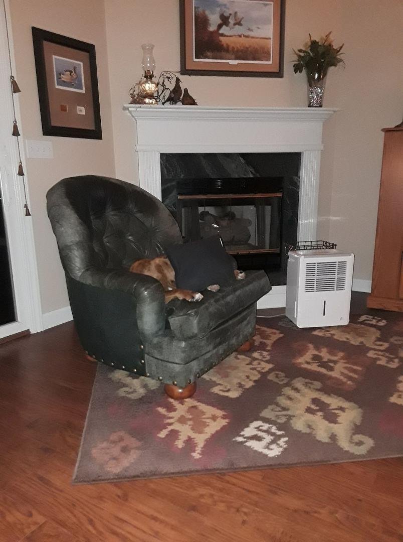 Bella hiding