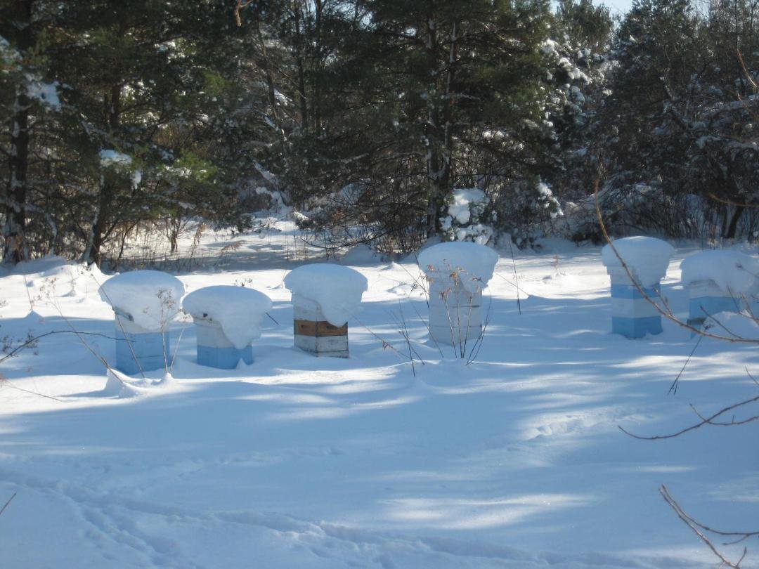 The bee's are taking a break!