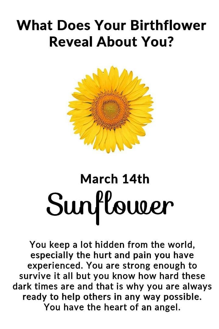 What Does Your Birthflower Reveal About You?