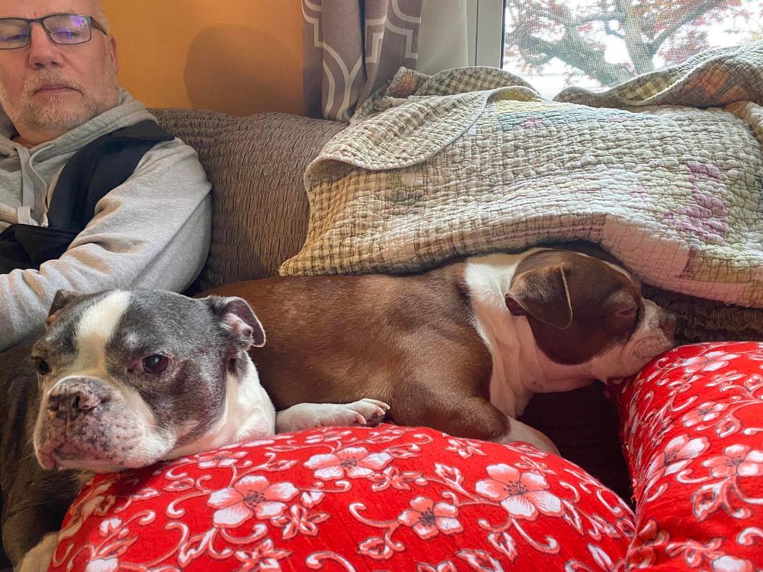 Blue is not happy about having a new sister.