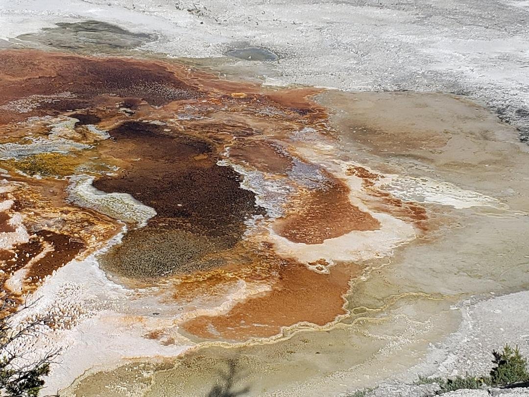 Mammoth Hot Spings, Yellowstone