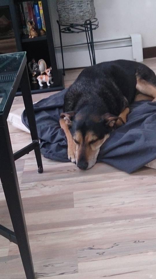 My old man sleeping