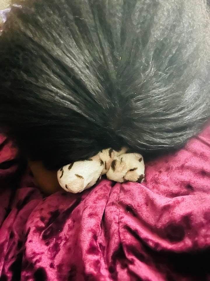 So I had dozed off to sleep an woke up to this laying on my feet Yall I almost kicked my daughter on the floor thinking her hair was some kinda animal😂😂😂 Mannn let me go back to sleep🤦🏽♀️🤣🤣