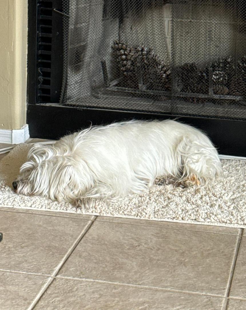 Happy 14th Birthday Coconut.