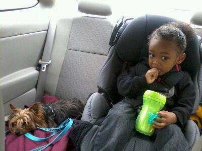 Kahari and company