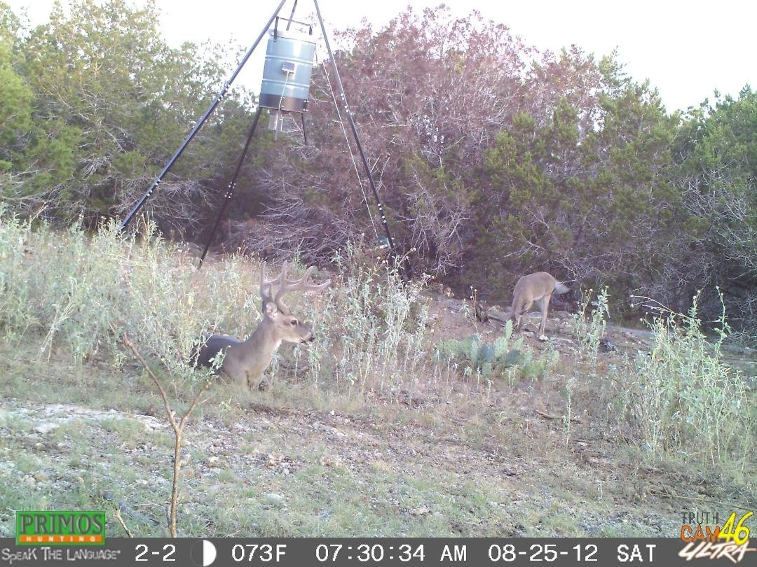Michael Dailey's album, Timeline Photos