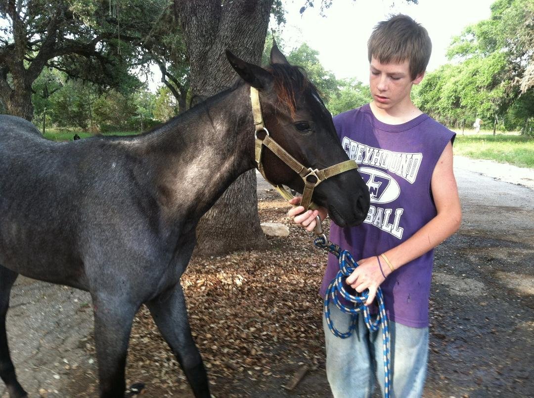 For a Joe Hancock/Blue Valentine line... Roo has a nice head... Josh, my horse assistant!!