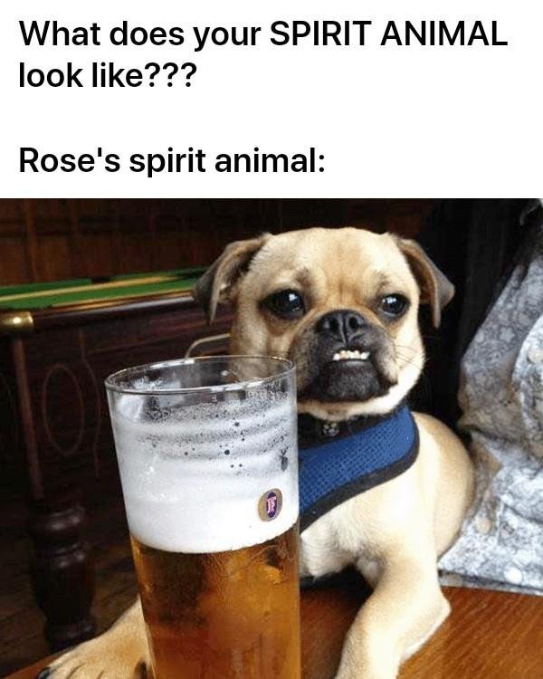 Rose Gallagher's album, Timeline photos