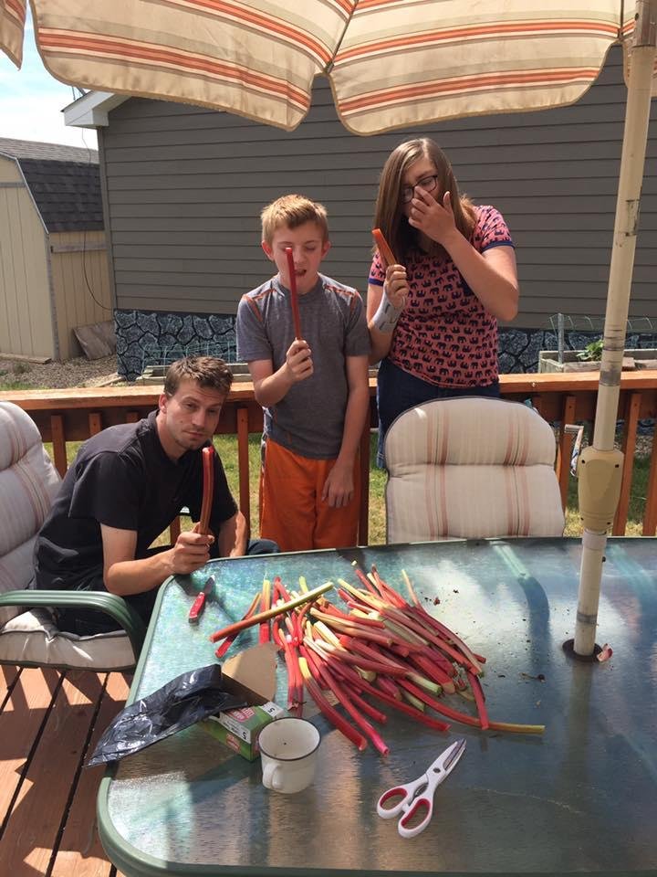 Grand kids cutting my rhubarb for me. They are all just awesome. Justin pulled it. Cyd and Myles cleaned it ❤️❤️😘