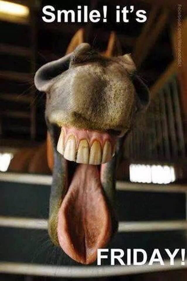 Now this guy would be a great candidate for my toothpaste, lol.