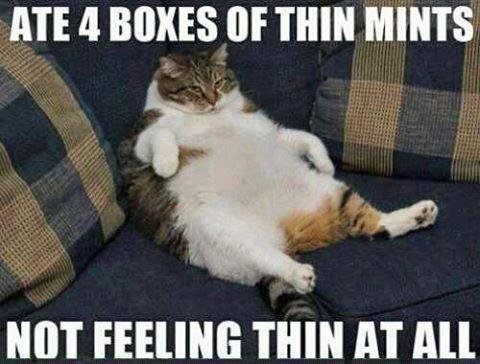Guess you can't judge the "cookie" by reading the box! Would be nice if they made us thin when we ate 'em!