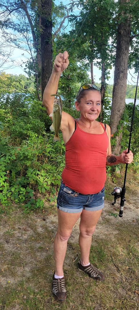 Candace Shaffer's album, Mobile uploads