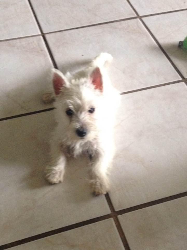 Nancy Foote's album, Timeline Photos
