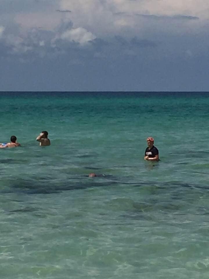 Aiden looking for sea shells