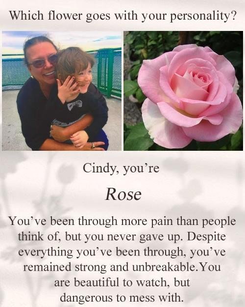 Cindy Davis' album, Timeline photos