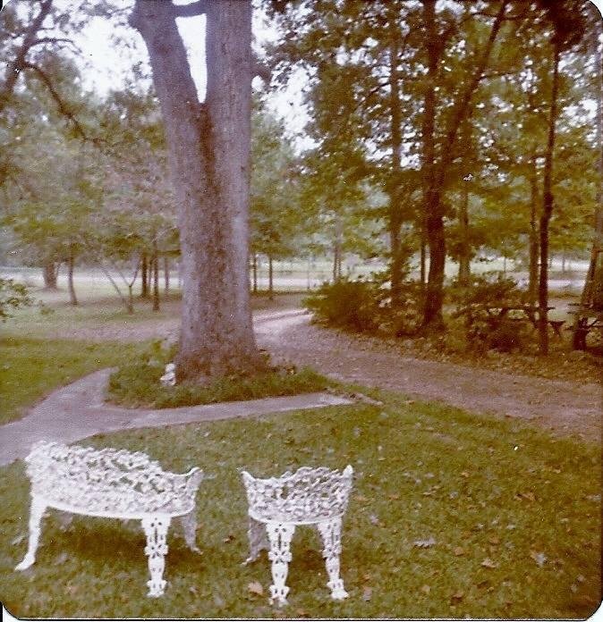 This was the view from our front door in 1965, unfortunately that's not true any longer. The little dirt road is still narrow and now paved, but the traffic is so heavy it's like a state highway. There is barely any beautif