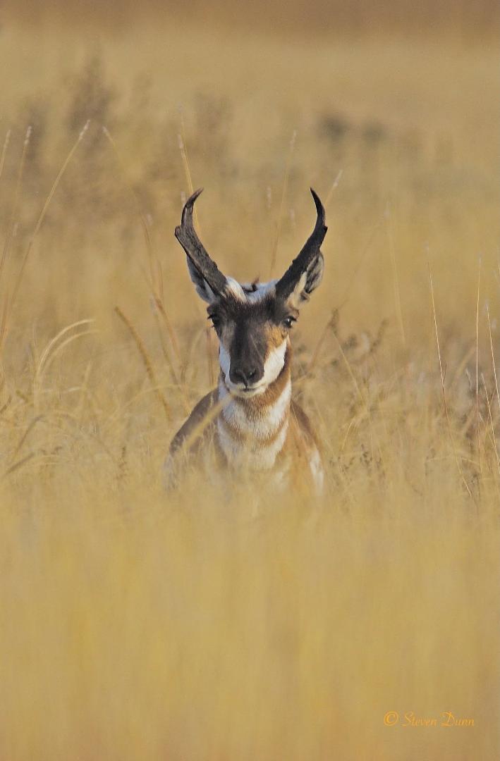 West Texas, near Big Bend.