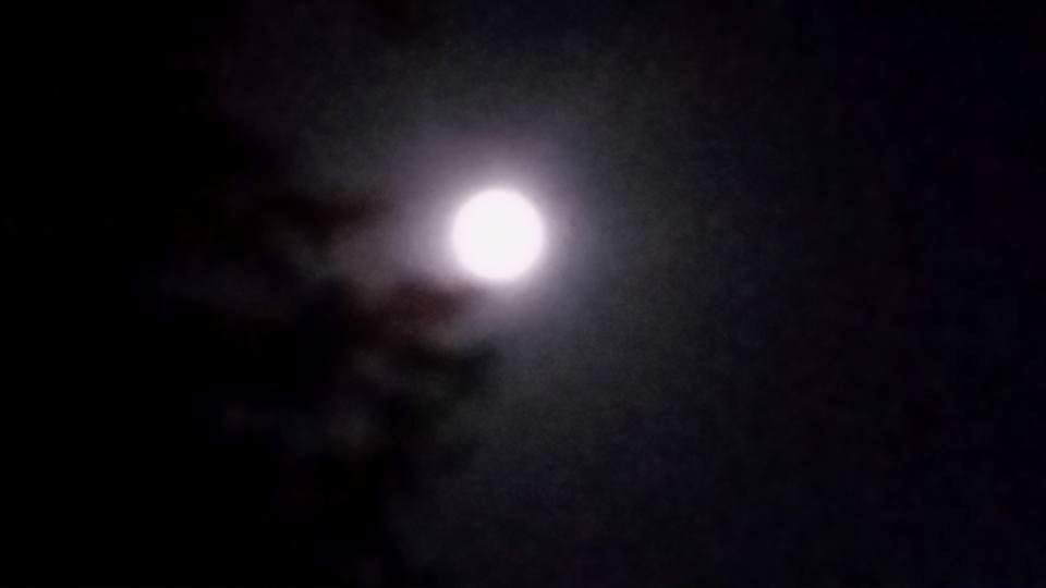 Couldn't get the blue ring to show but you can see it!