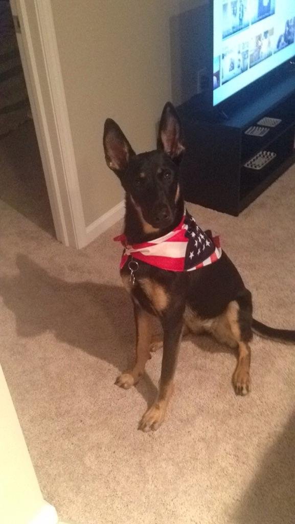 I Love My Dog!! Every day is your day!#