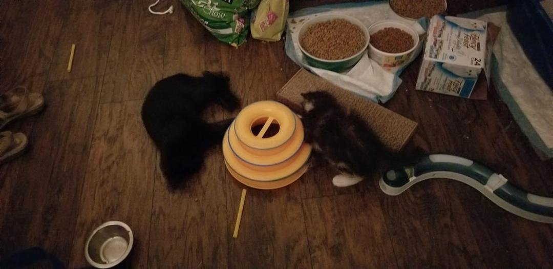 It's 330 am and the children want to play!!