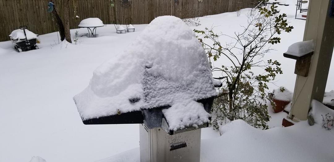 William Benney's album, Snow Storm December 2018 8th 9th ?