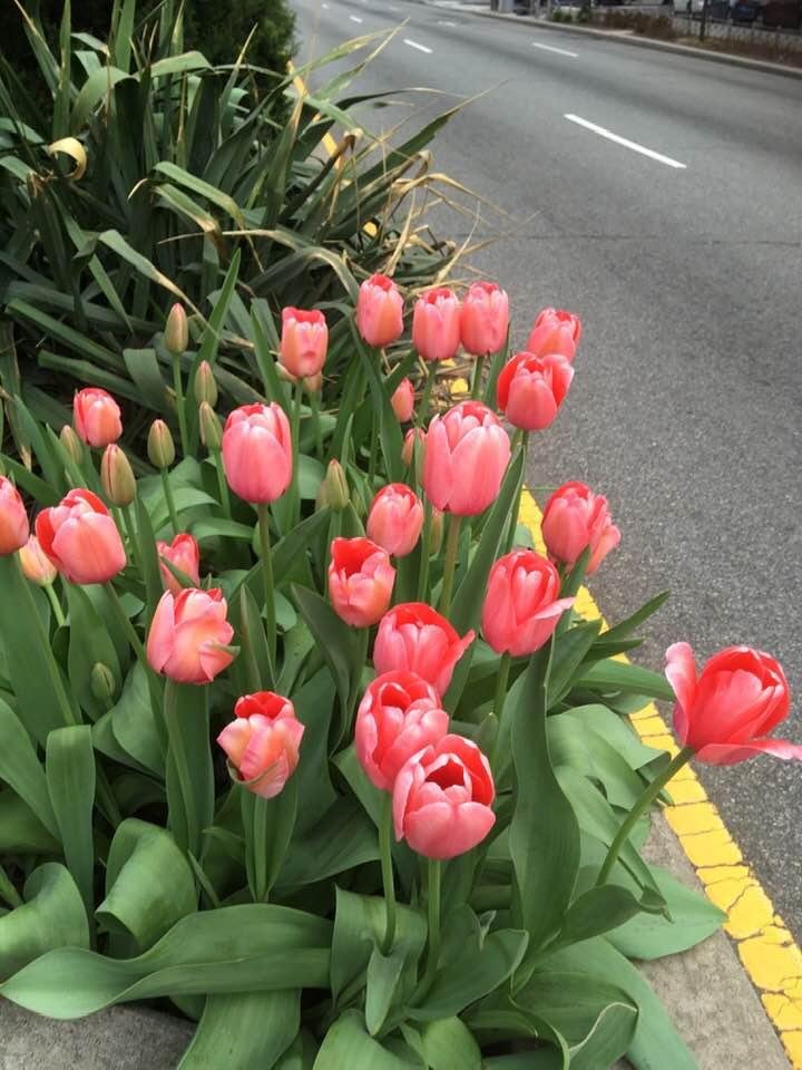 Dixie Mize Tolbert's album, Timeline Photos