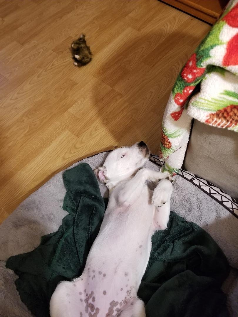 ROXY'S chill photo of the day!