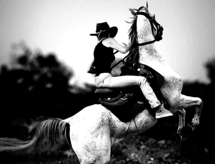 I know Red might have friends from his bull riding past and his Brother is Pro bullrider as well. My thoughts are someone from his past working days must have been in contact with him and or helping hide out now.
I just ne