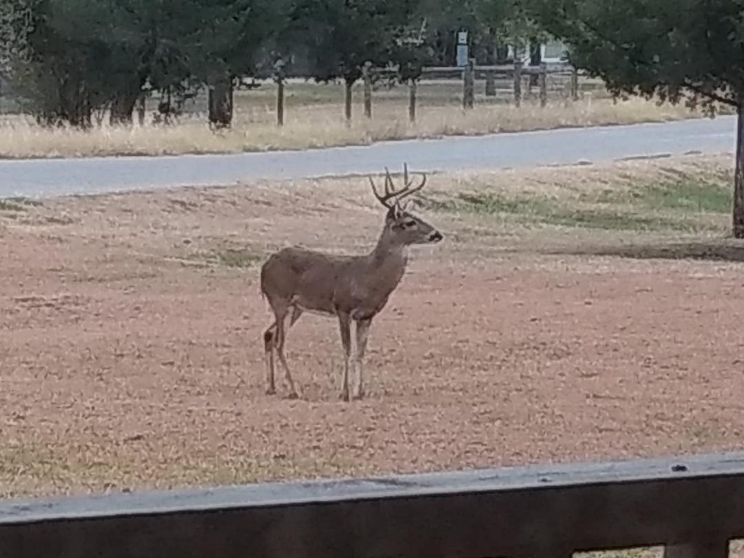 From my living room this morning.