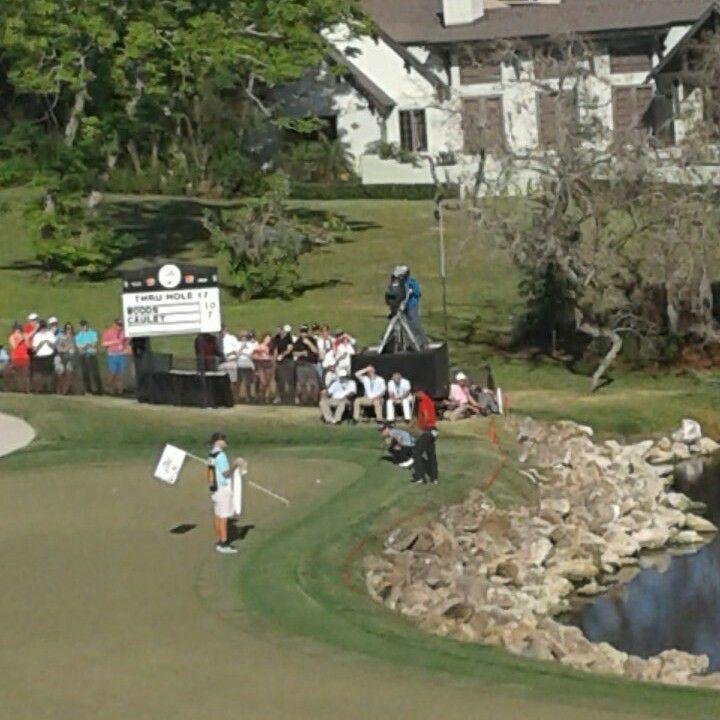 Tiger on the 18th!!