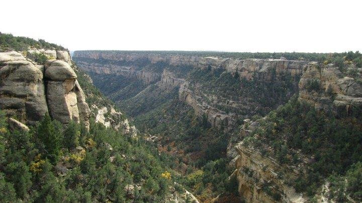 Robert Cline's album, Colorado Trip Mesa Verde