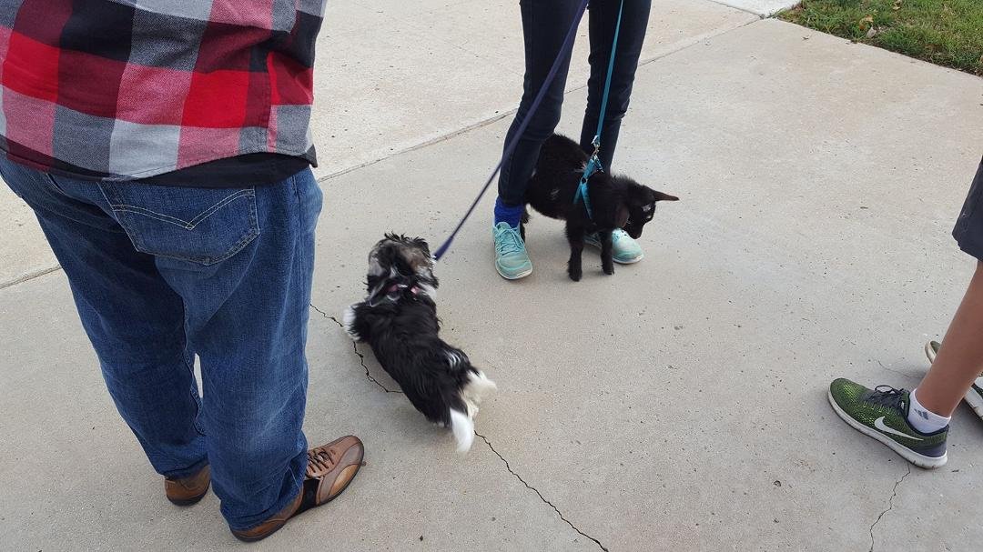 Both of these little critters are 5 months old. We're visiting Candy and family in CA.
