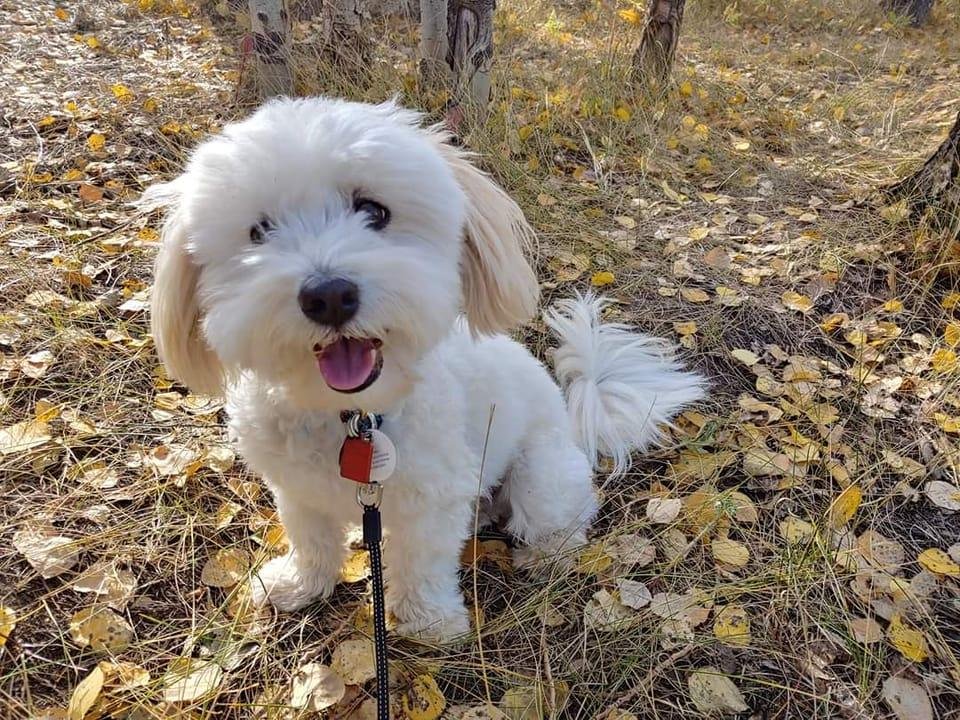 Today is day 6 of my “Life is Good” challenge. At the request of my beautiful cousin Amber Wooters, for 10 days I am to post a photo that brings me joy (no explanation), because we all need to choose joy right now. If I cho