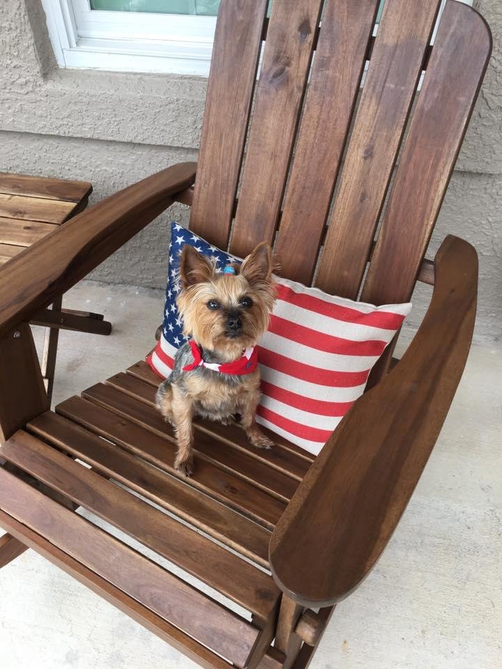 Have a Happy and Safe Memorial Day! Remember our veterans who served, who are serving now, and the ones who gave their lives so that we may live free.