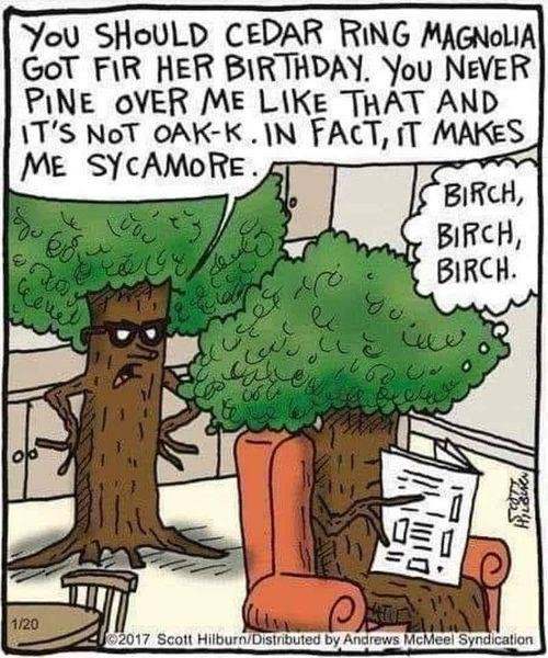 Janis Carlin's album, Timeline photos