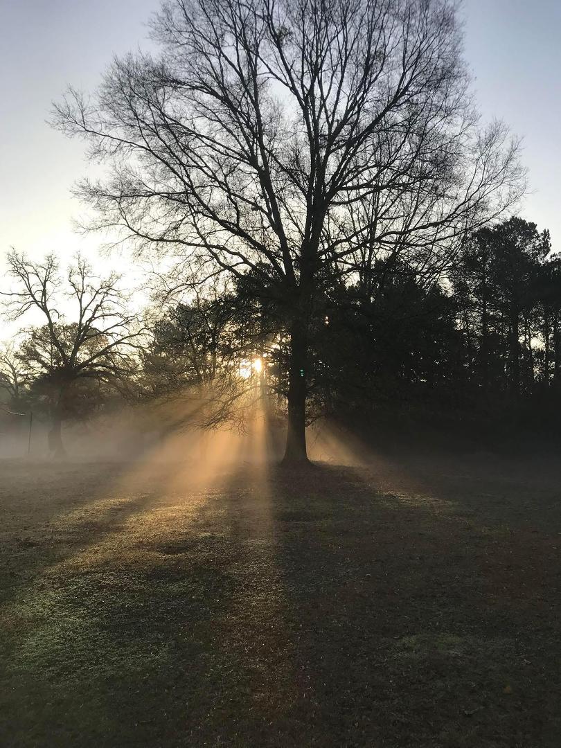 His light still penetrates the darkness.
John 1:5