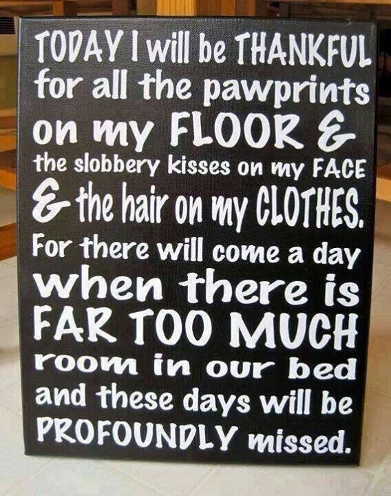 Sandy Prybylek's album, Timeline Photos