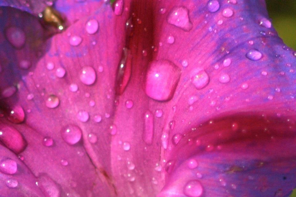 Mauro Calcano's album, Mobile Uploads