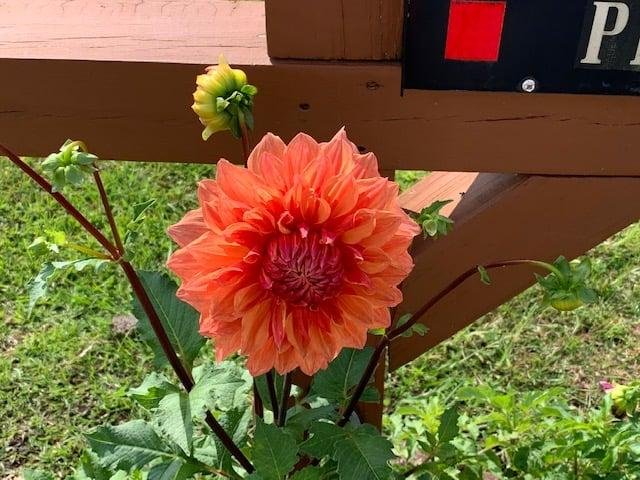 William Prevatt's album, Timeline Photos