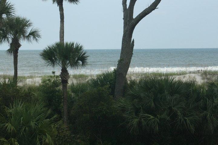 Here's what I'll be looking at from my balcony when I wake up in the morning. Oh yeah, I got to fire up the blender tonight. It was Margarita time.