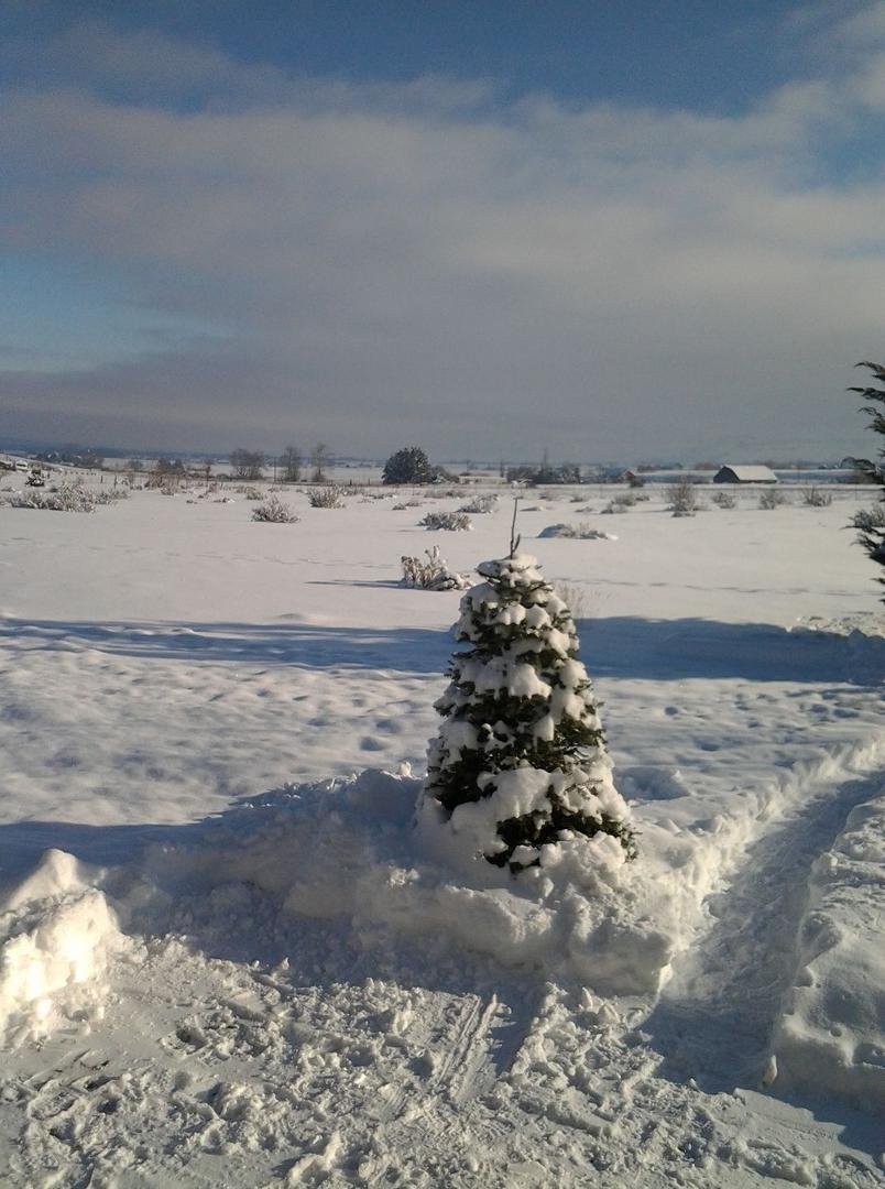 New storm coming in fr8m Southeast...-2 tonight!