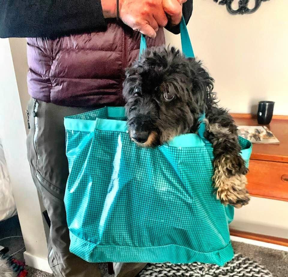 I don’t always travel in a bag... but when I do It’s Shelley’s.