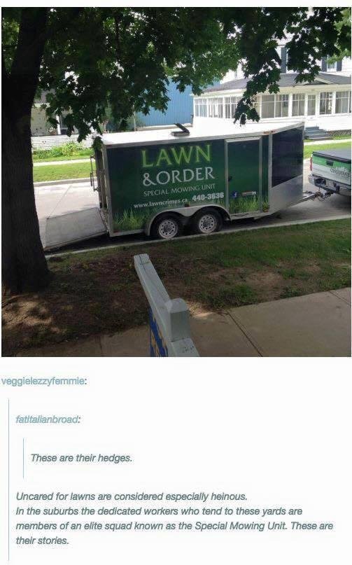 BONK BONK...these are their hedges!