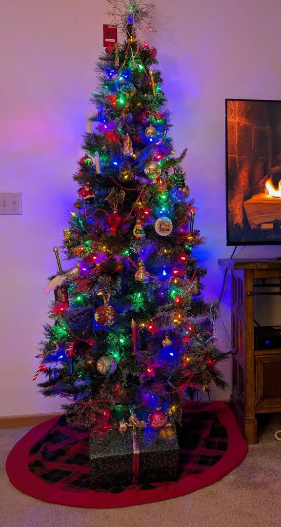 2024 Christmas tree ...great job Liz